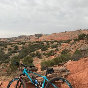 Meet your Posher, Carter